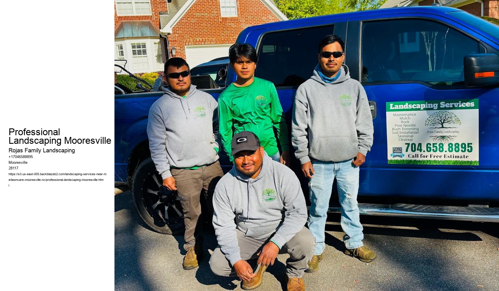 Professional Landscaping Mooresville